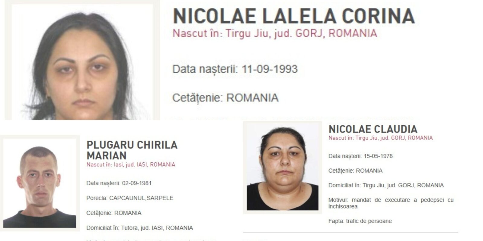 Traficanți și „most wanted” aduși în țară de poliție