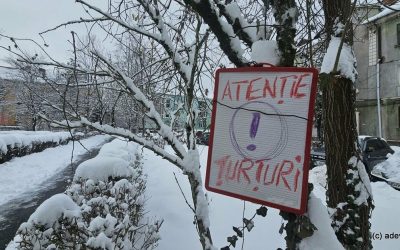 1768482477_index.jpeg - StirileCorecte