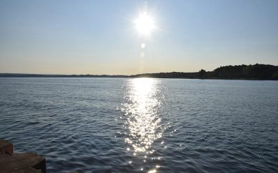 87e72ca450ae494820fb59352df9d98e.jpeg - StirileCorecte