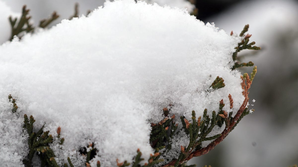 Temperaturile scad dramatic, iar ninsoarea își face simțită prezența Meteorologii prognozează astăzi o zi rece în Summit County, cu temperaturi ce ating un maxim de 34 de grade, care vor părea, însă, mai aproape de 15 grade din cauza vântului