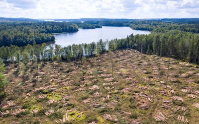 Accord UE-Mercosur : une catastrophe environnementale ?