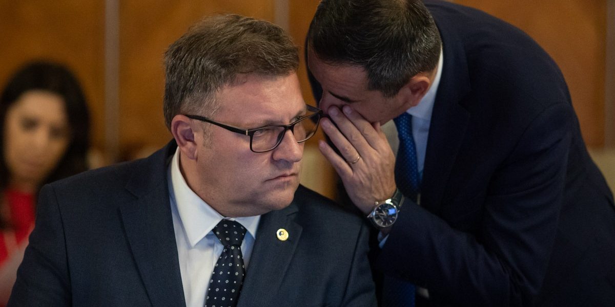 FB1A1087.jpg - StirileCorecte