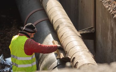 FB1A2184.jpg - StirileCorecte