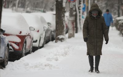 ID330608_INQUAM_Photos_George_Calin.jpg - StirileCorecte