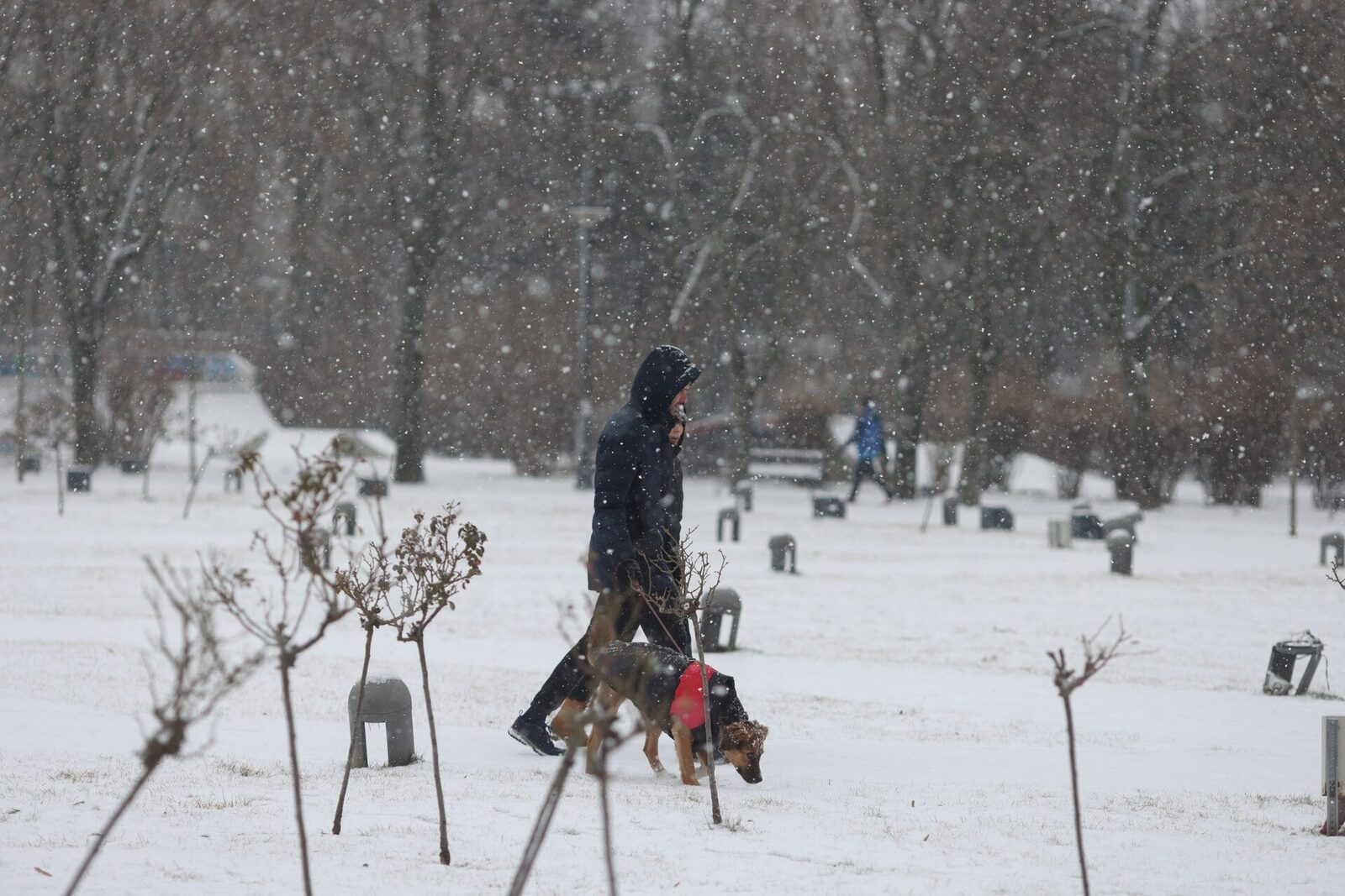 Avertizări meteo severe: Ninsori și polei în București și în alte zone ale țării Administrația Națională de Meteorologie (ANM) a emis duminică un cod galben de ninsori, lapoviță și ploi, valabil până marți dimineață