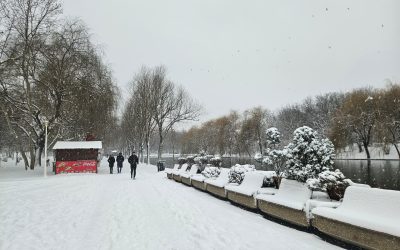 Ninsori în București. La cât ajunge stratul de zăpadă și cum arată prognoza meteo pentru luni