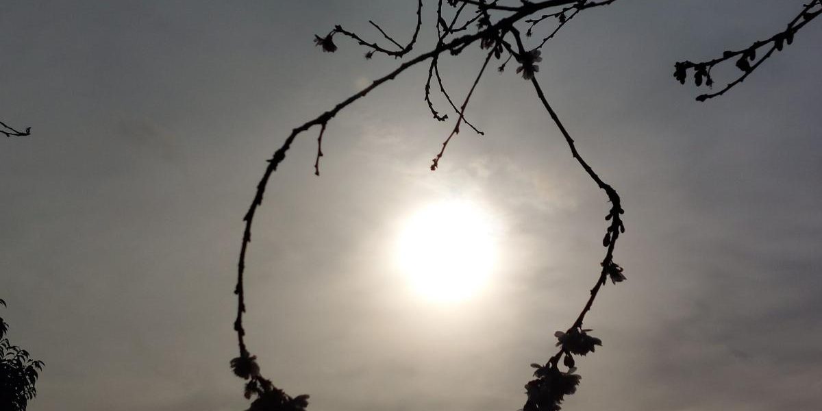 Wharfedale & Airedale Observer