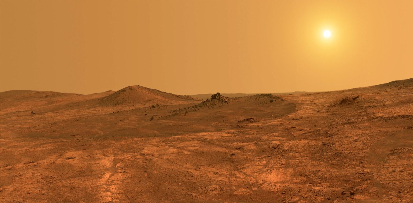 NASA: Rocă de pe Marte arată urme de viață.