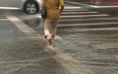 YThhMWE3NzA3NjIwYmYyM2NiYTdlYjljMWJkZQ.thumb_.jpg - StirileCorecte