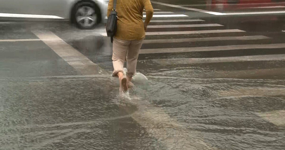 Cod galben de ploi și vreme primăvăratecă în câmpie, viscol la munte După o perioadă îndelungată de ger și temperaturi scăzute, meteorologii anunță o schimbare semnificativă a vremii în România