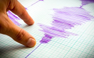 aGFzaD05MjlkNzczNjZmY2VmYmRiMTdlODUzZjg3OWYzNWIyMQ.thumb_.jpg - StirileCorecte