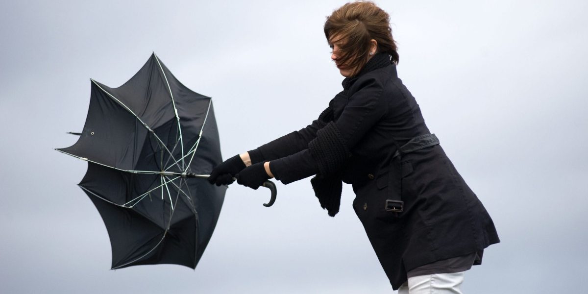 aGFzaD0zNDUyYjgxN2M5Nzk2MDIxODQ2YmEwNDc0ODYzN2MyMg.thumb_.jpg - StirileCorecte