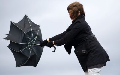 aGFzaD0zNDUyYjgxN2M5Nzk2MDIxODQ2YmEwNDc0ODYzN2MyMg.thumb_.jpg - StirileCorecte