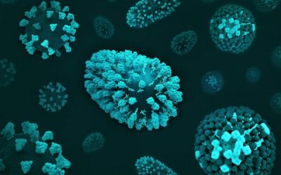 admin-ajax-5-1.jpeg - StirileCorecte