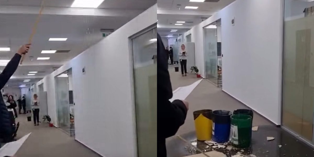 collage-49.jpg - StirileCorecte