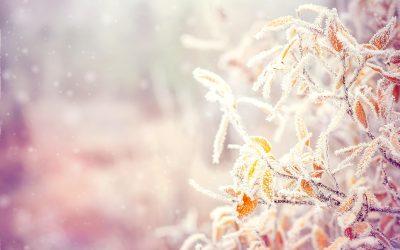 dreamstime_m_46769012.jpg - StirileCorecte