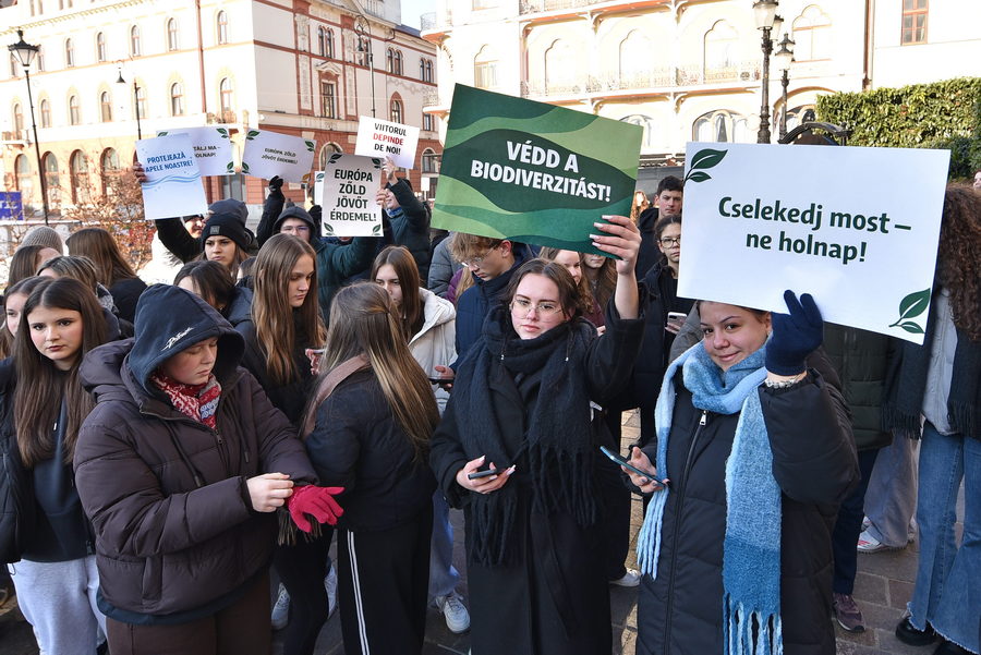 flash-mob-ecologist-20012026_05.jpeg - StirileCorecte