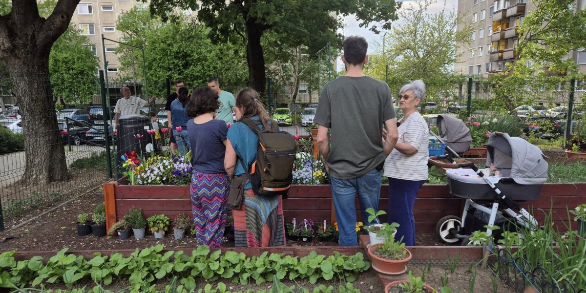 gradinile-comunitare1-debrecen.jpg - StirileCorecte