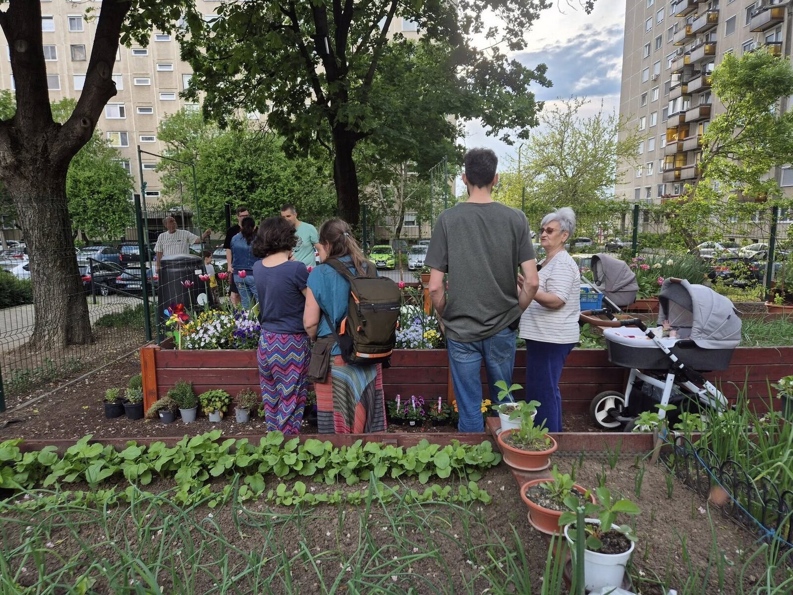 Zeci de organizații civice din București și alte orașe din România solicită oficial autorităților locale legalizarea grădinilor comunitare pe domeniul public