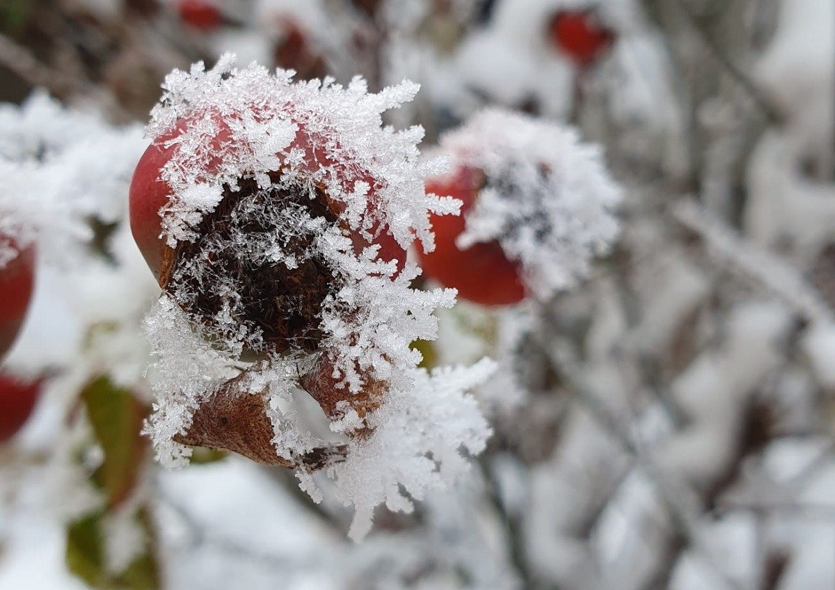 Vremea în ianuarie 2026: prognoza meteo.
