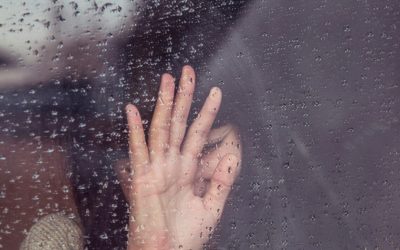 milada-vigerova-kT0tsYZ2YE0-unsplash-e1717931877253.jpg - StirileCorecte