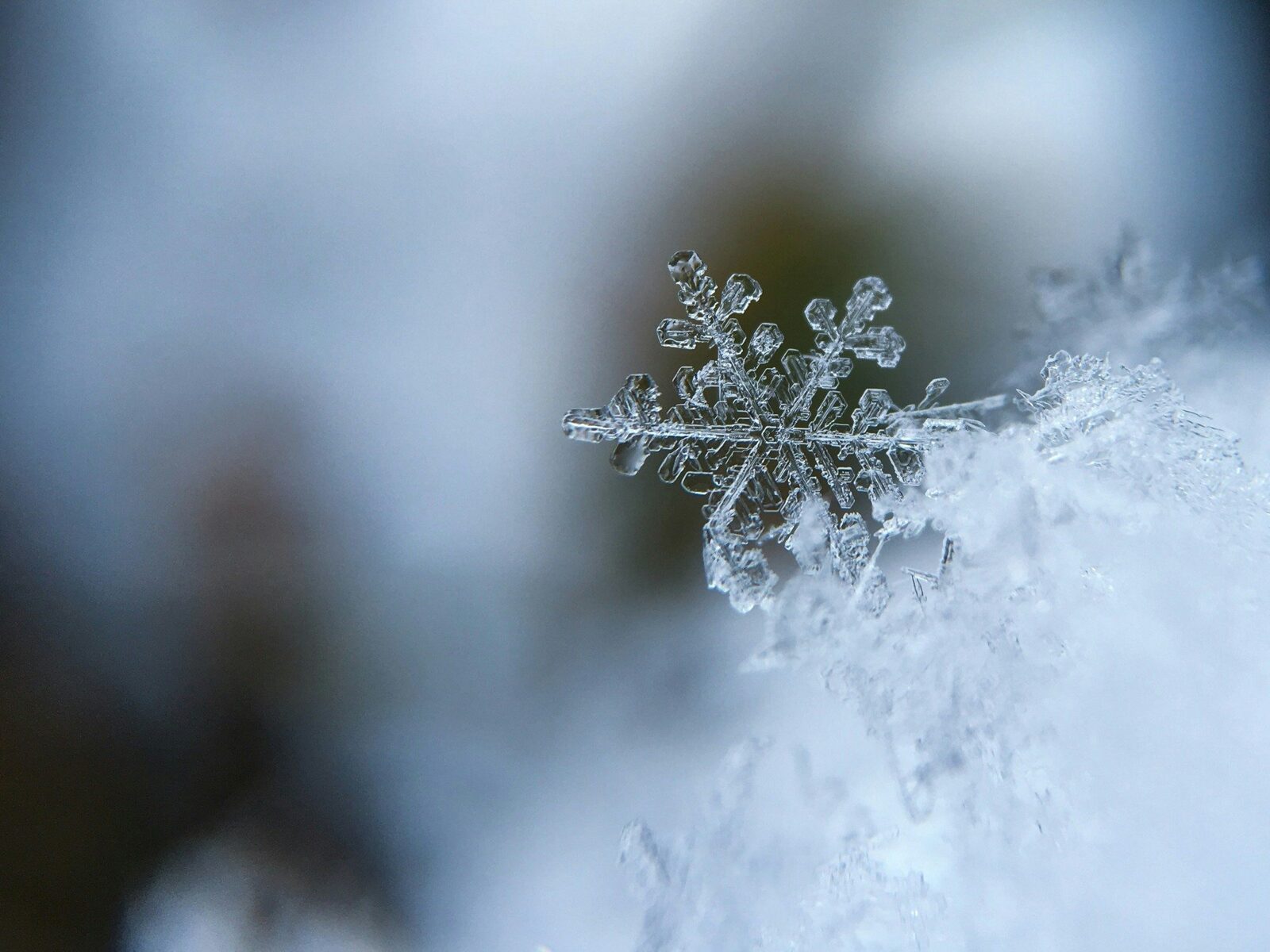 Bucureștiul se pregătește pentru temperaturi record de ger, cu nopți ce pot coborî până la -13 grade Celsius Vremea extrem de rece ce se anunță în Capitală și în întreaga regiune a României în următoarele zile a declanșat deja îngrijorare printre locuitori și autorități, fiind avertizată o perioadă de temperaturi minime ce pot ajunge până la -13 grade Celsius