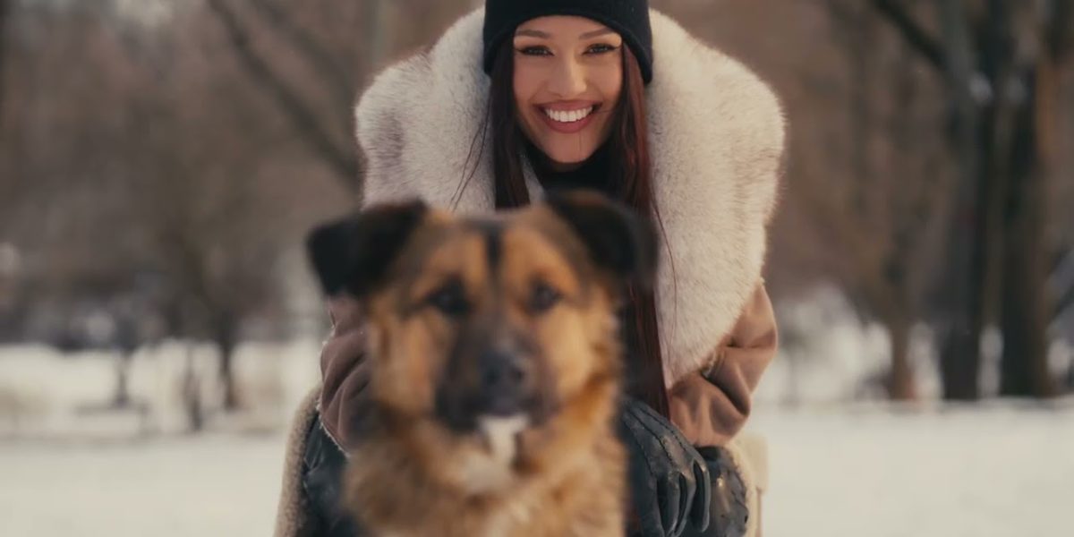 scl2UJnbk9Q-HD.jpg - StirileCorecte