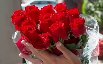 62384270.jpg - StirileCorecte