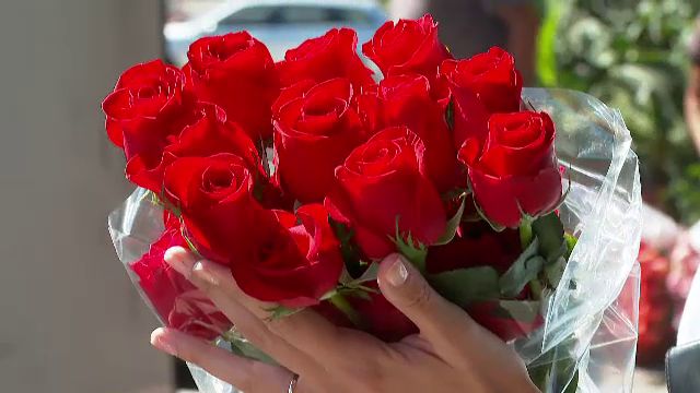 62384270.jpg - StirileCorecte