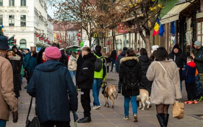 62605033.jpg - StirileCorecte