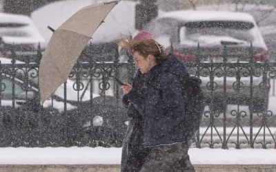 8023082-mediafax_foto-alexandru_dobre-1024x683-1.webp.webp - StirileCorecte