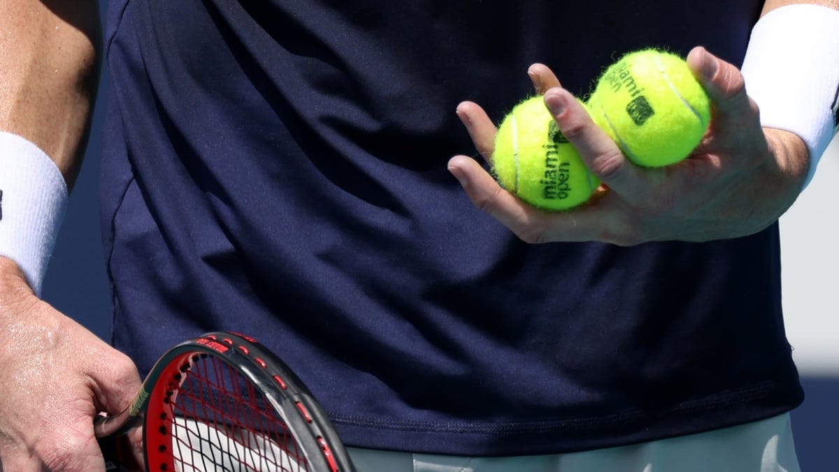 Chwalinska și Ana Bogdan, duelul decisiv de la Winners Open