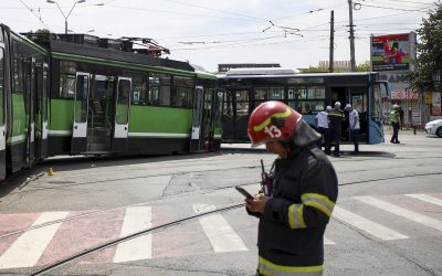 ID314221_INQUAM_Photos_Cosmin_Enache-scaled.jpg - StirileCorecte