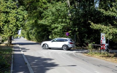 ID317768_INQUAM_Photos_Ovidiu_Micsik-scaled.jpg - StirileCorecte