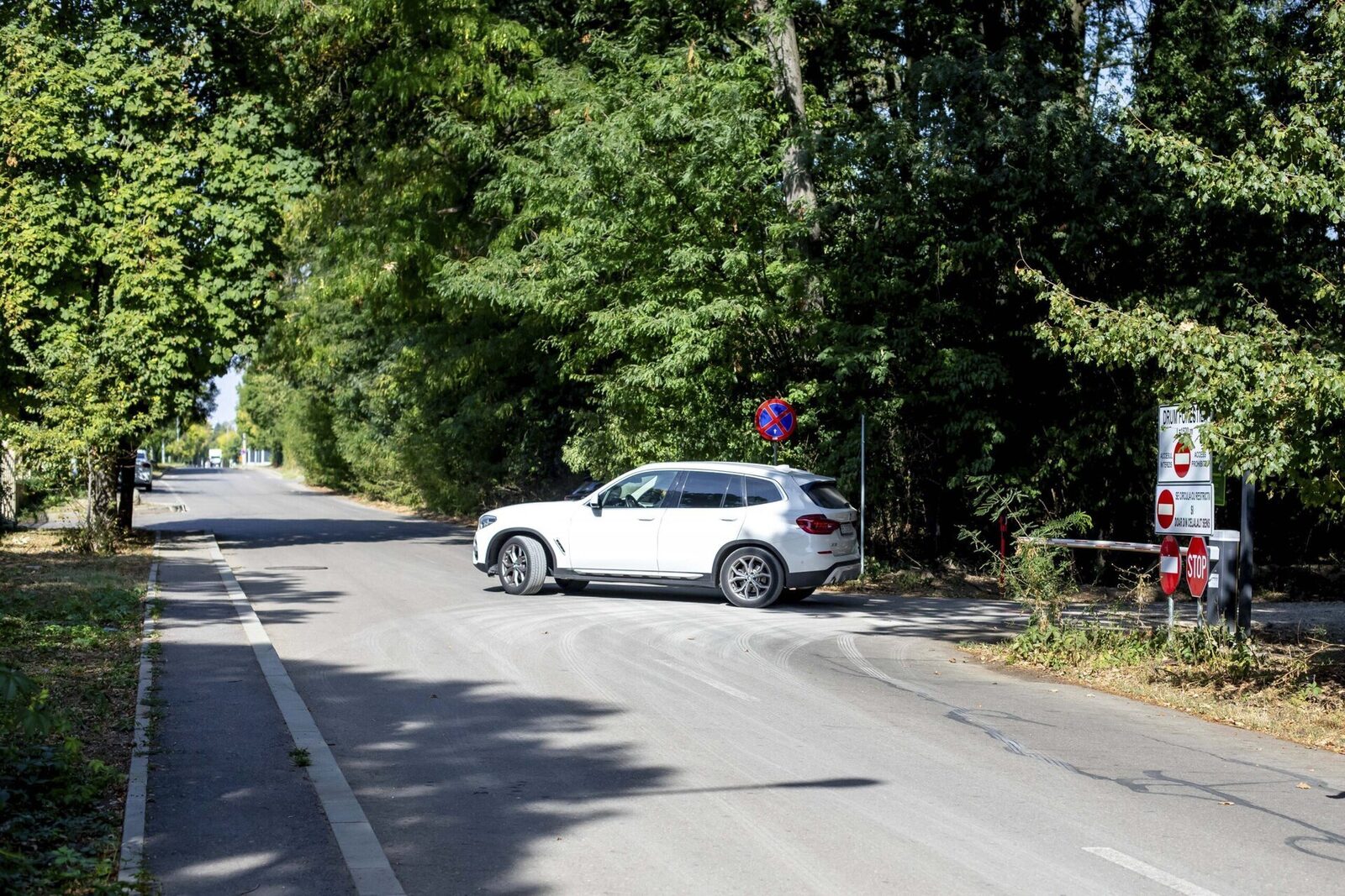 Ministerul Mediului a făcut lumină asupra legalității drumurilor auto din Pădurea Băneasa, publicând recent concluziile unui raport al Corpului de Control