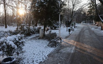 ID330501_INQUAM_Photos_George_Calin-1-e1770545727817.jpg - StirileCorecte