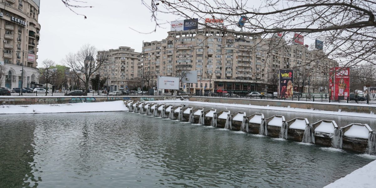 ID332283_INQUAM_Photos_George_Calin-1-e1770468225307.jpg - StirileCorecte