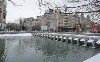 ID332283_INQUAM_Photos_George_Calin-1-e1770468225307.jpg - StirileCorecte