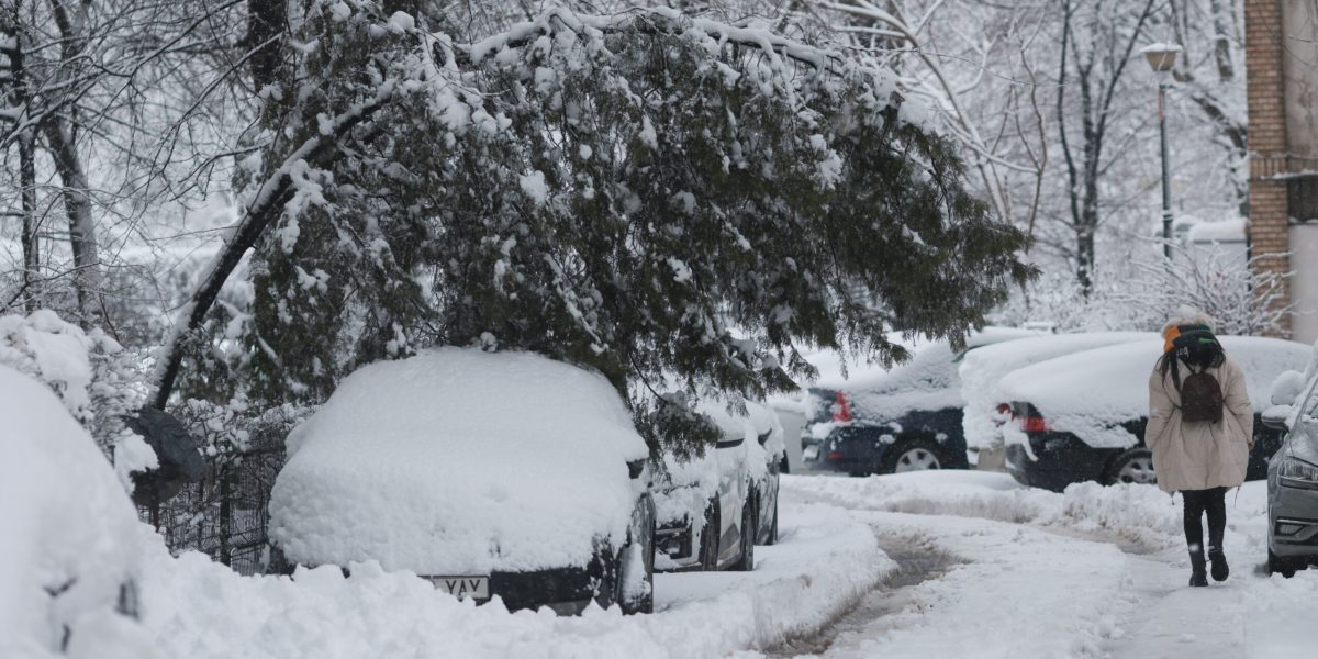 ID333964_INQUAM_Photos_George_Calin-scaled.jpg - StirileCorecte