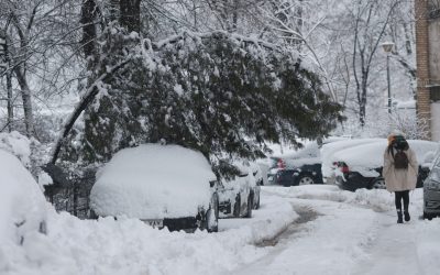 ID333964_INQUAM_Photos_George_Calin-scaled.jpg - StirileCorecte