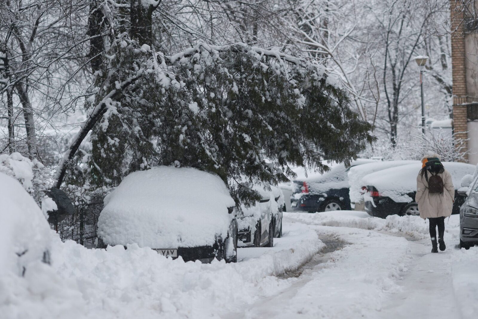 Revenirea brutală a iernii a adus pagube considerabile în București și în împrejurimi, punând la încercare serviciile de urgență și autoritățile locale