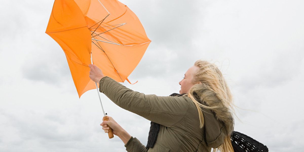 MCZ6Yz0xJmhhc2g9NjEzYTllYTlmYzg5ZWE2NDQyOWU1N2EzZGY1NzhmMDA.thumb_.jpg - StirileCorecte