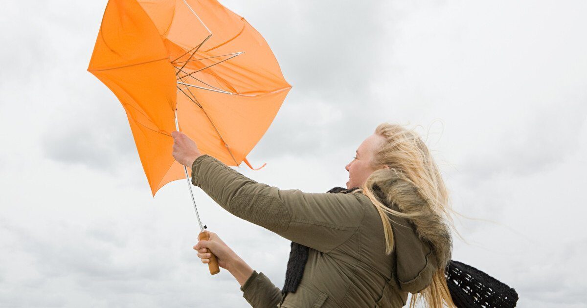 Fenomen meteorologic extrem: Cod galben de vânt și ger în România Administrația Națională de Meteorologie (ANM) a emis luni dimineață avertizări de vreme severă, anunțând vânt puternic, ninsori și temperaturi scăzute în mai multe regiuni de pe teritoriul național