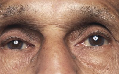 MCZ6Yz0xJmhhc2g9NjhjODRkZmQ3YmJiMDc3YzIwOTAwYjI4NDg0MGUxOWY.thumb_.jpg - StirileCorecte