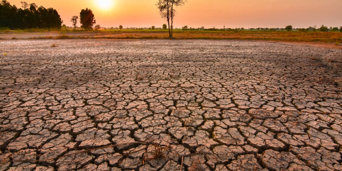 MSZoYXNoPTkwNTY4MWMxZDAyYjQyYTRhNzQ0NmIyMjdhMWNiNTNi.thumb_.jpg - StirileCorecte