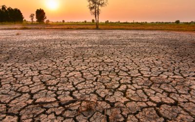 MSZoYXNoPTkwNTY4MWMxZDAyYjQyYTRhNzQ0NmIyMjdhMWNiNTNi.thumb_.jpg - StirileCorecte