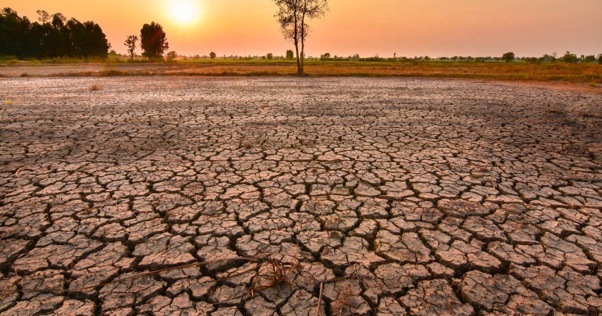 Fenomenul El Niño ar putea provoca temperaturi record în 2027 Agențiile meteorologice internaționale trag un semnal de alarmă: posibilitatea formării fenomenului El Niño în Oceanul Pacific în cursul acestui an implică riscuri semnificative, cu potențialul de a duce la creșterea temperaturilor globale la niveluri record în 2027