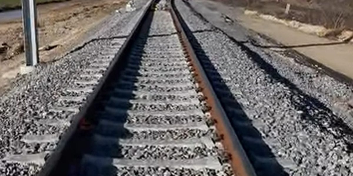 MTFjNWE2ZDgwODQ4ZjhmZGUzOGE4ZjE1YWFj.thumb_.jpg - StirileCorecte