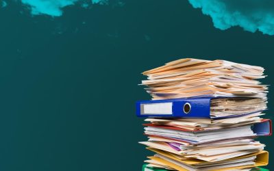 Mandatul Busuioc la Curtea de Conturi: 6 miliarde prejudicii, 6 milioane recuperate. Jumătate din sesizări clasate