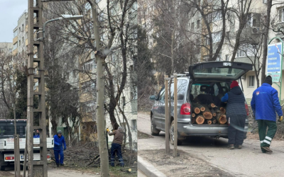 Untitled-design-38-1000x666.png - StirileCorecte